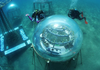 Divers are outside a biosphere.