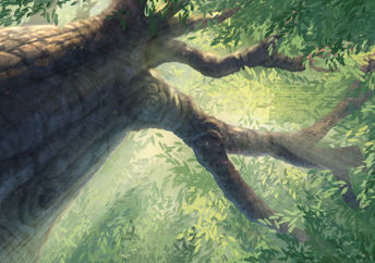 Trees are inspiring.