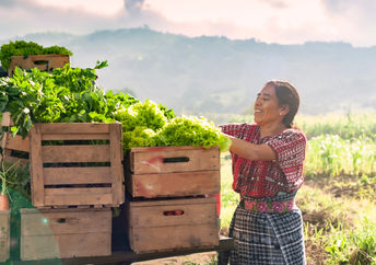 Happy indigenous farmer with fresh vegetables in her truck