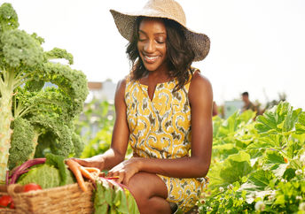 Urban teaching farm.