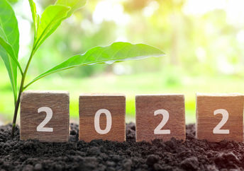 Make New year's resolutions for 2022.