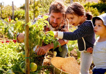 Father and his kids looking at vegetables growing in a community garden.