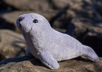 Furry stuffed aninal.