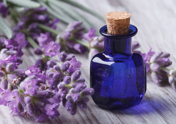 Lavender oil in a glass bottle next to fresh lavender flowers.