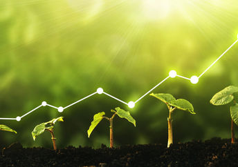 Business growth and success with a heart.