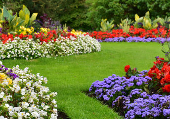 Beautiful weed-free yard.