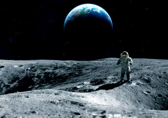 Thale cress cultivated in a laboratory.