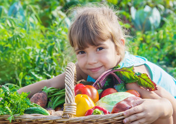 A bounty of vegetables
