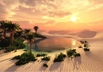A lush oasis in a parched, sandy desert.