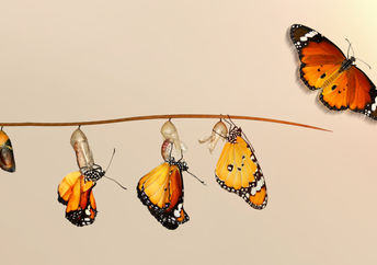 Change can be difficult.