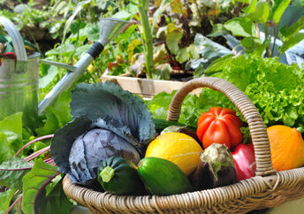 Even a small garden can give you fresh produce all summer long.