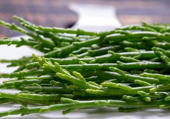 Close-up of raw, fresh salicornia.