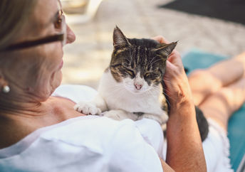 Happy senior woman in glasses relaxing with her tabby cat.