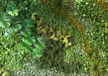 Your home can be build with living walls.