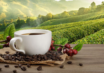 The best coffee is freshly ground dark-roast.