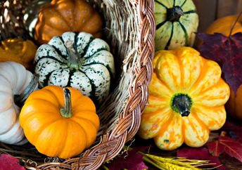 A cornucopia of the fall harvest.