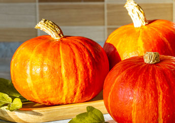 Fall is the season for pumpkins.