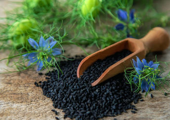 Black cumin seeds and flowers.
