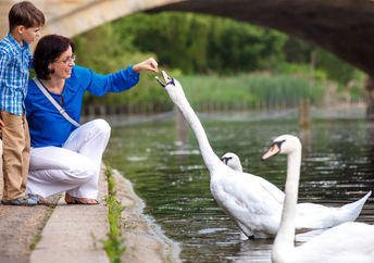 Spending time in nature is good for mental health.