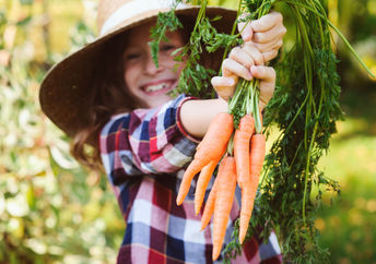 Girl picking carrots in the late fall.