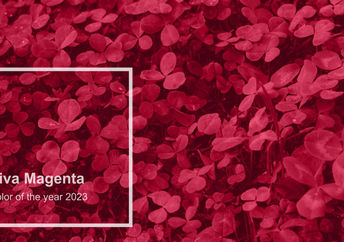 viva Magenta is the color of the year