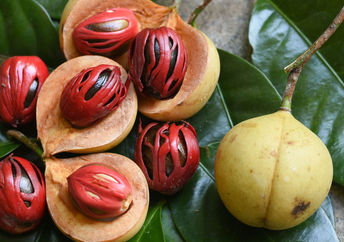 Nutmeg seeds are used whole or ground into a powder.