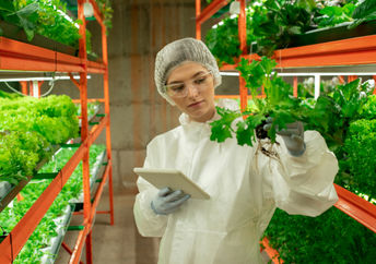 A woman working in a hydroponic vertical farm.