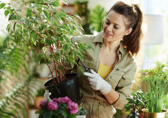 Bokashi compost helps your houseplants thrive.