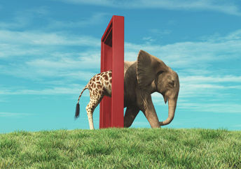 Changes in life are not always easy.