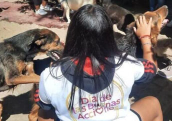 Taking care od dogs on Good Deeds Day.