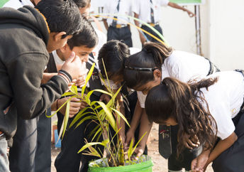 Children learning about nature.