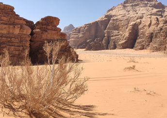 Jordanian desert.