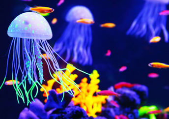 The robot was inspired by real jellyfish.