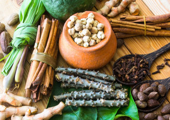 Ayurvedic medicinal herbs.