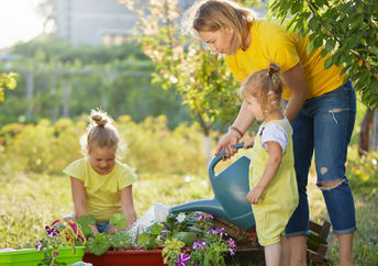Tending a chaos garden.