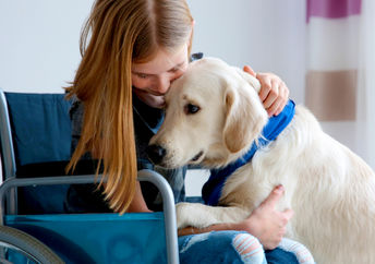 Young woman in a wheelchair with her service dog.