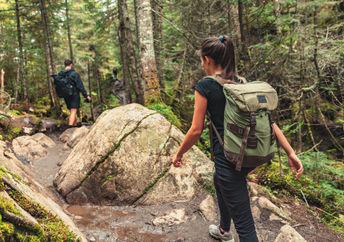 Hiking on a forest trail.