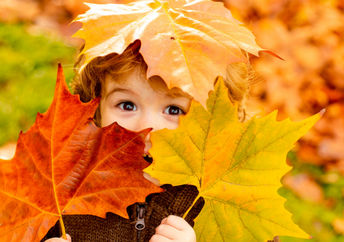 Child play in fallen leaves.