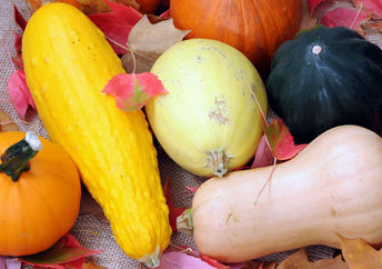 Several varieties of winter squash.