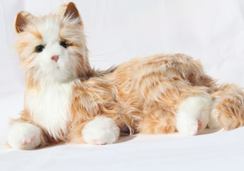 Robotic cats are good companions for the elderly.