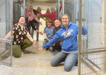 Empty kennels at the shelter.