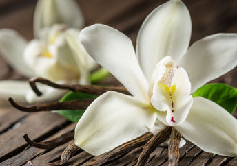 Vanilla flowers and bean pods.