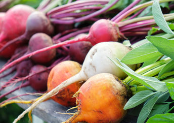 Different varieties of beets