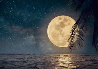 Full moon on a tropical beach.