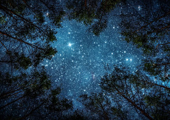 View of the milky way in the night sky.