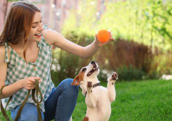 A woman playing with her dog.