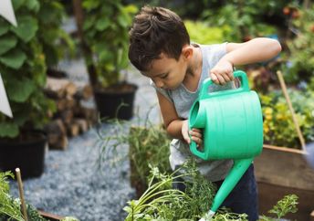 Helping to water a community garden.