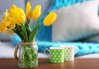 Enjoying beautiful spring tulips in your home.