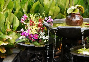 Enchanting Fend Shui garden.