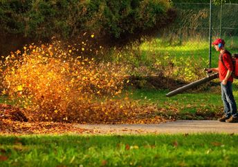 Cleaning a lawn with a leaf blower.